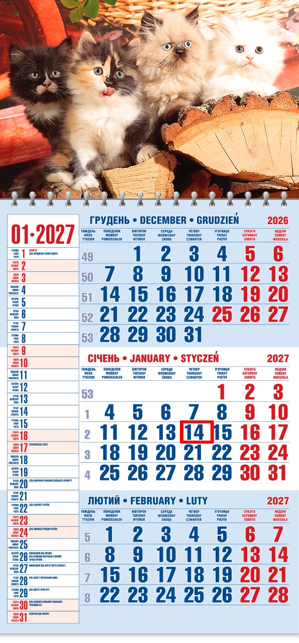 49_Kvart_schoden__old Календар 2027 офісний 1: четверо пухнастих кошенят на дровах