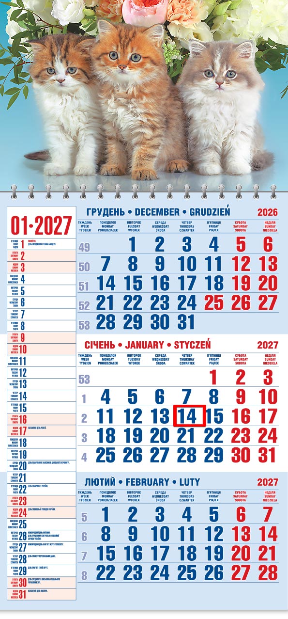 50_Kvart_schoden__old Календар 2027 офісний 1: троє пухнастих кошенят на тлі букета квітів