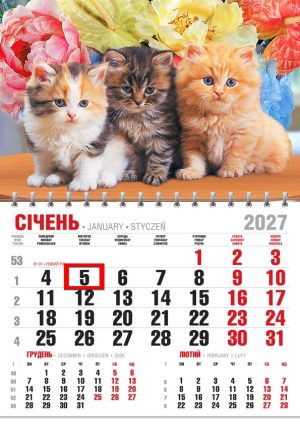 Календар 2027 офісний економ. Трійка кошенят в квітах
