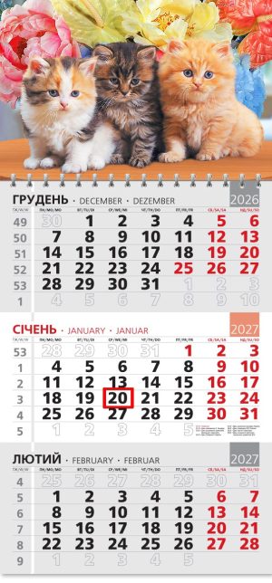 Календар 2027 офісний 3. Трійка кошенят в квітах