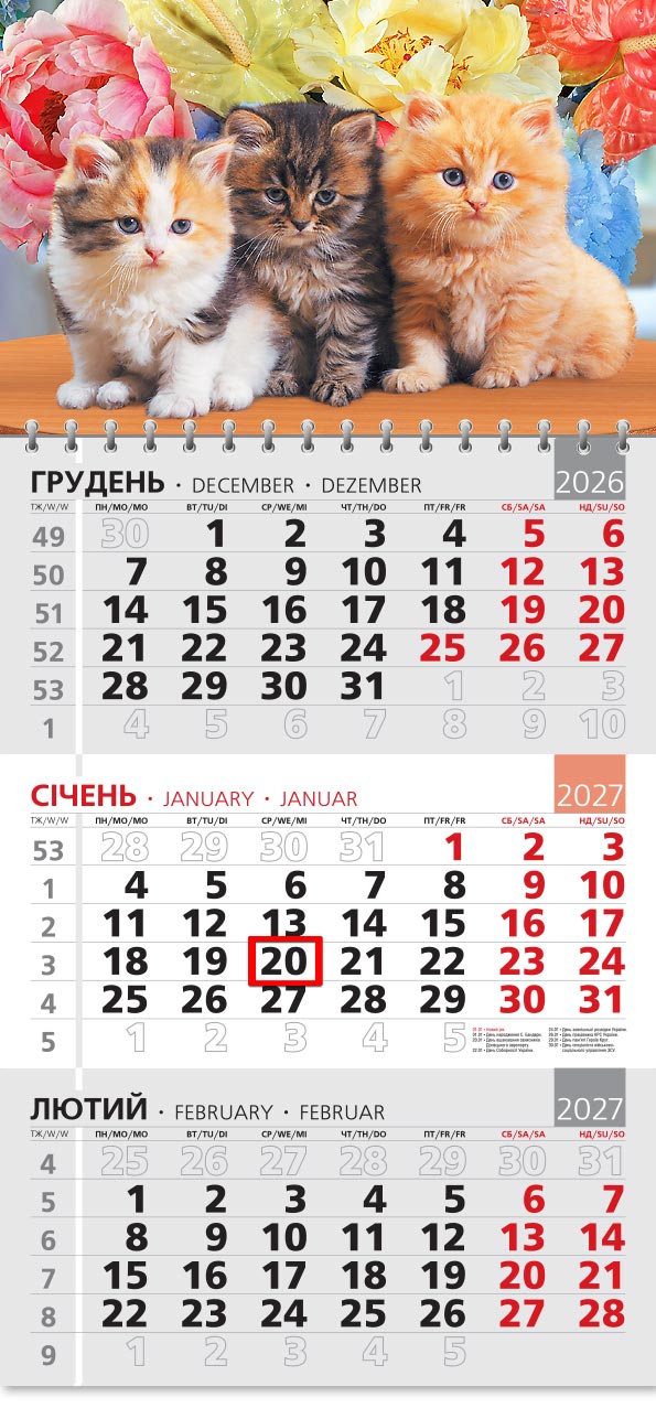 Календар 2027 офісний 3: руде, смугасте й плямисте кошенята серед яскравих квітів