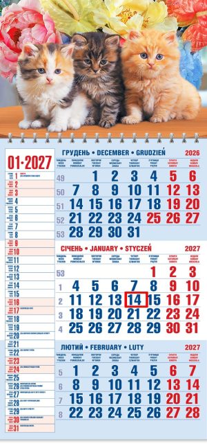 Календар 2027 офісний 1. Трійка кошенят в квітах
