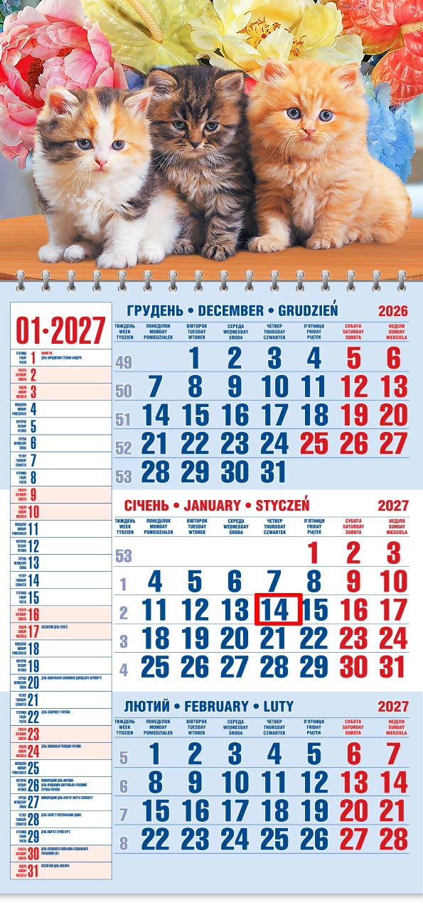 51_Kvart_schoden__old Календар 2027 офісний 1: троє пухнастих кошенят на тлі рожевих і жовтих квітів
