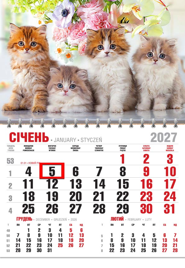Календар 2027 офісний економ: руде, рудо-біле й двоє сірих пухнастих кошенят