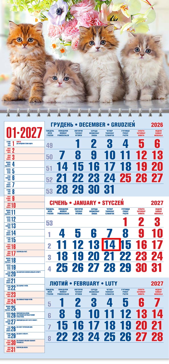 52_Kvart_schoden__old Календар 2027 офісний 1: четверо пухнастих кошенят під рожевими квітами