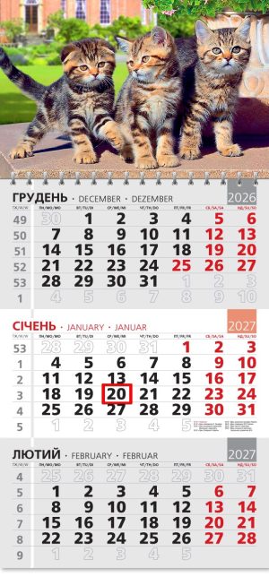 Календар 2027 офісний 3. Котяча тріада