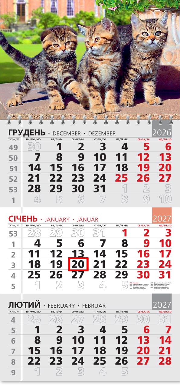 Календар 2027 офісний 3: три тигрові кошенята біля садової вази