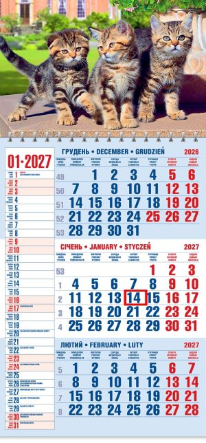 Календар 2027 офісний 1. Котяча тріада