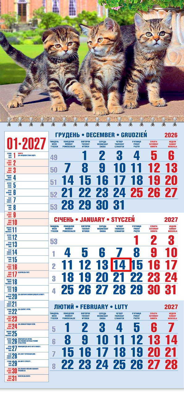 53_Kvart_schoden__old Календар 2027 офісний 1: троє смугастих кошенят на кам'яній плиті в саду