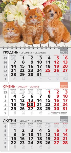 Календар 2027 офісний 3. Руда трійка