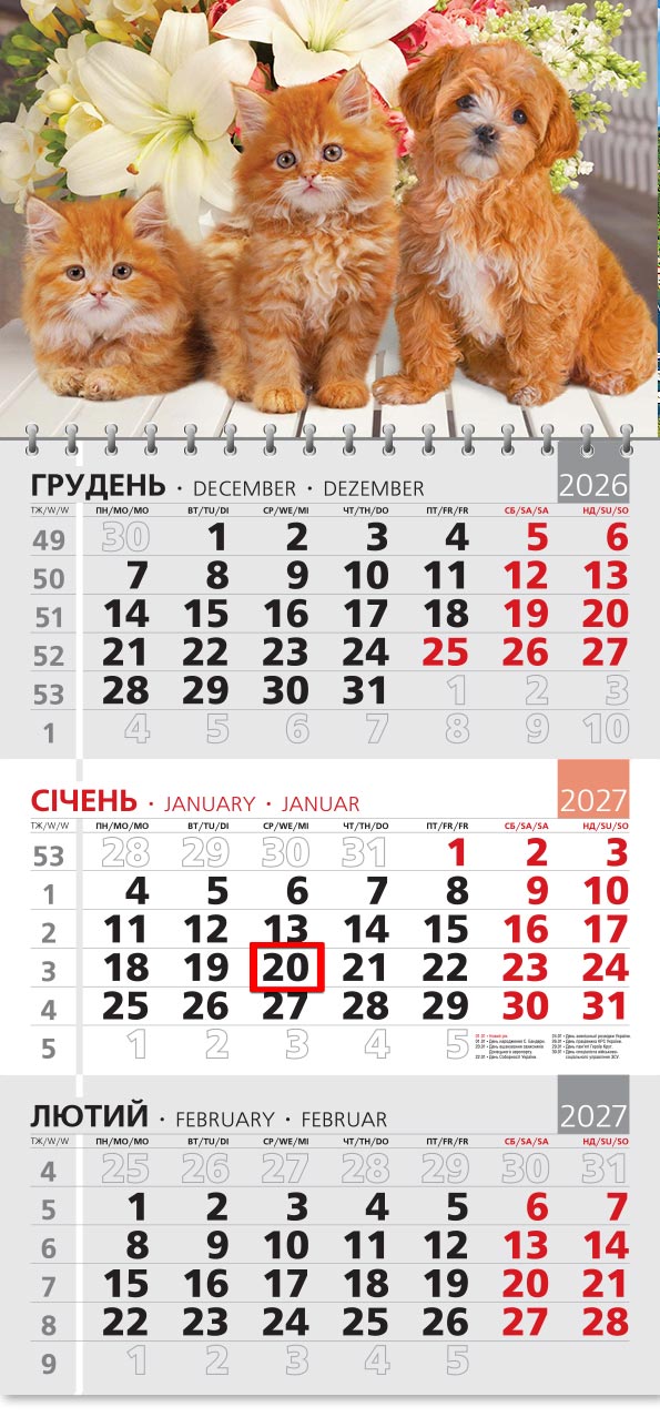 Календар 2027 офісний 3: руді кошенята й кучеряве цуценя біля букета лілій