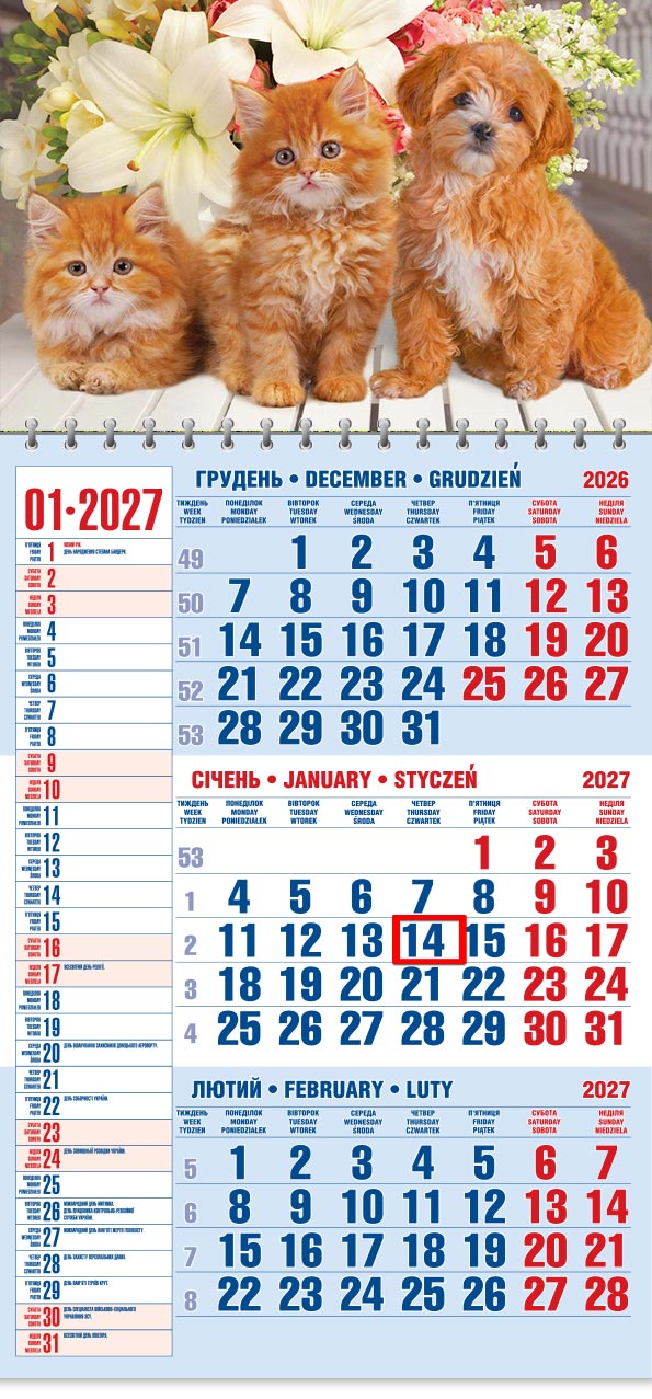 54_Kvart_schoden__old Календар 2027 офісний 1: два руді кошенята й руде цуценя на тлі білих лілій