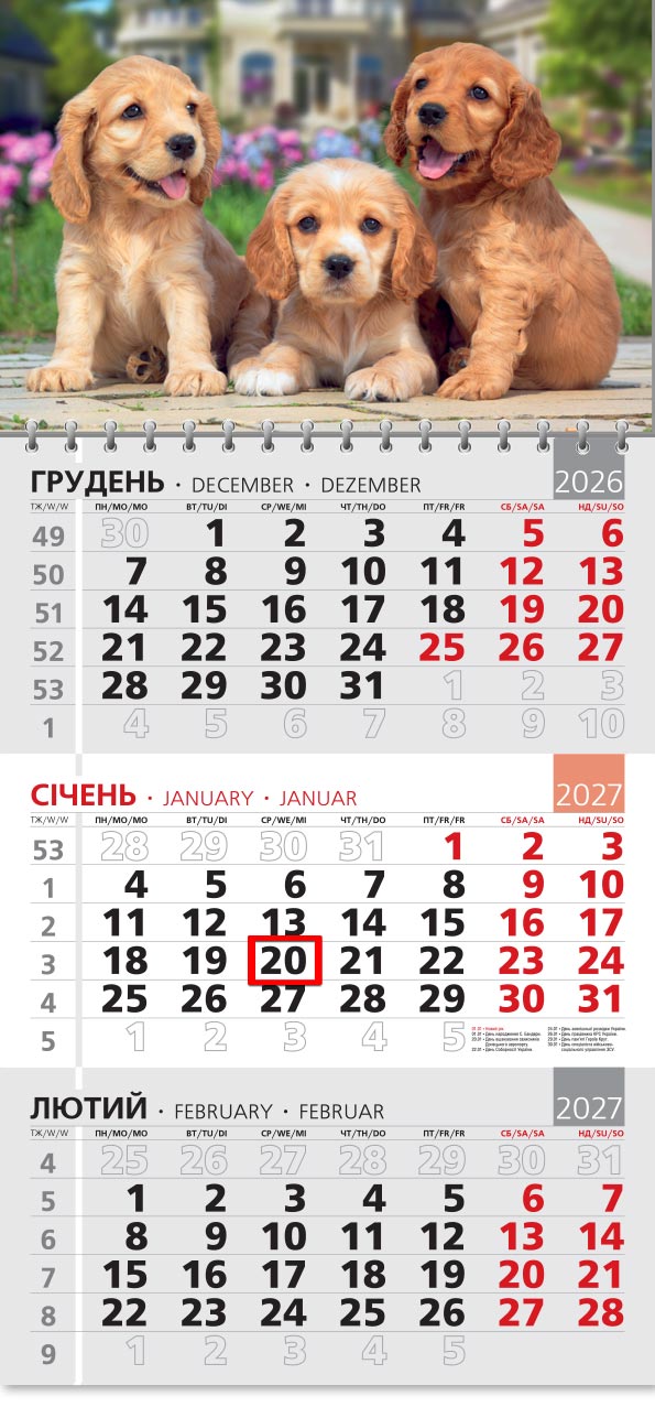 66_Kvart_grey-old Календар 2027 офісний 3: троє цуценят кокер-спаніеля в саду